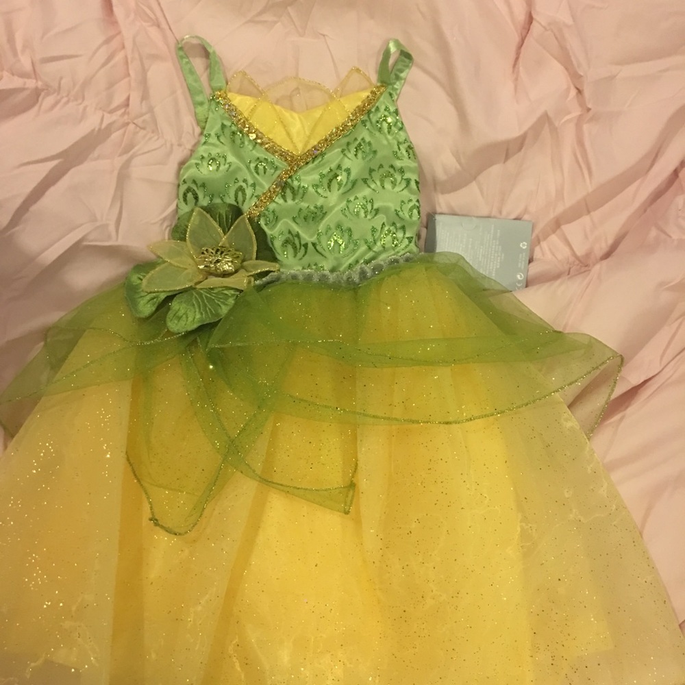 NWT Disney Tiana dress